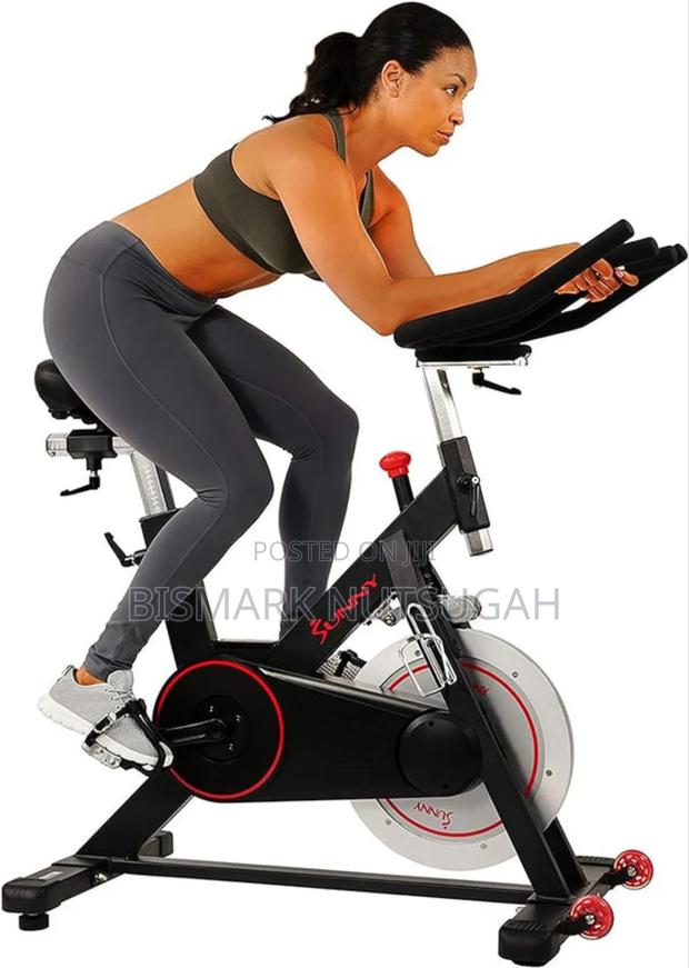 Lifespan Fitness Spin Exercise Bike · Photo 2