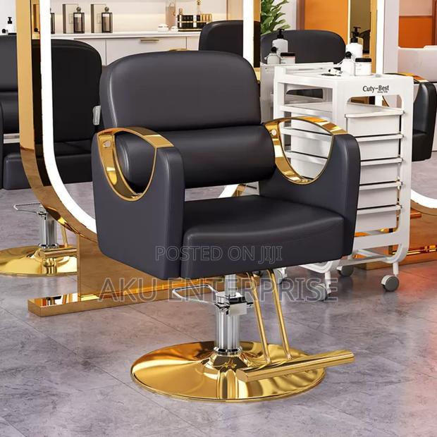 Leather Hair Saloon Chair Babar Chair Gold Legs Adjustable · Photo 3