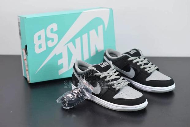 Nike Sb Dunk Leather Ash Black · Photo 1