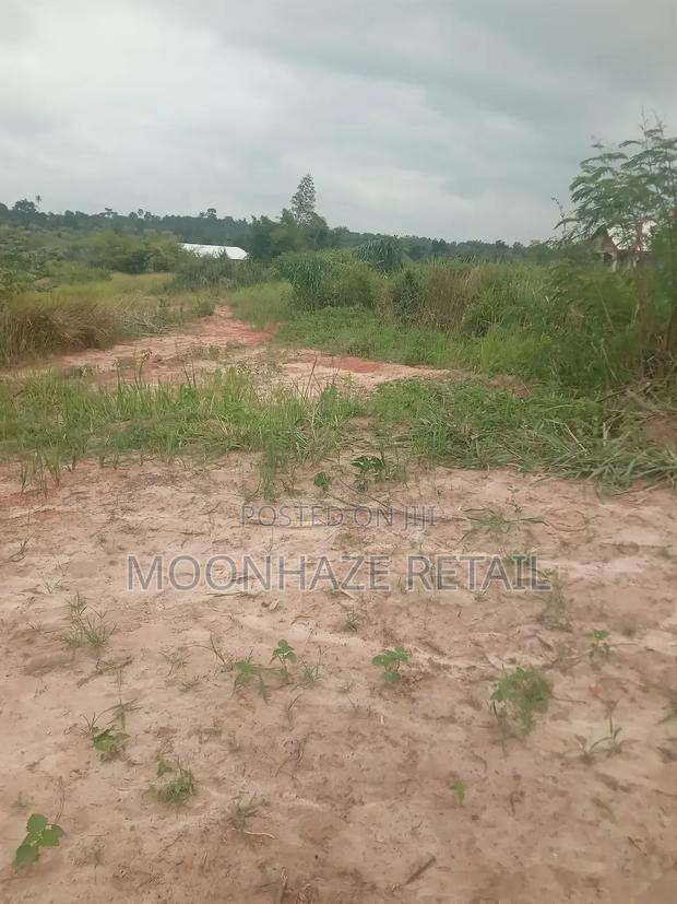 Hot Lands for Sale at Jachie-Pramso, Bosomtwe District! · Photo 3