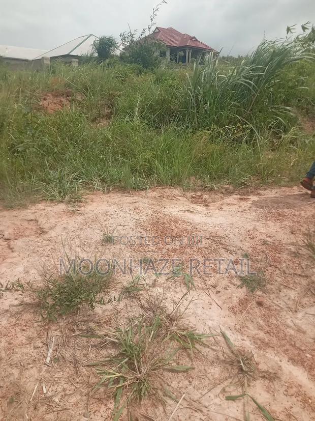 Hot Lands for Sale at Jachie-Pramso, Bosomtwe District! · Photo 4