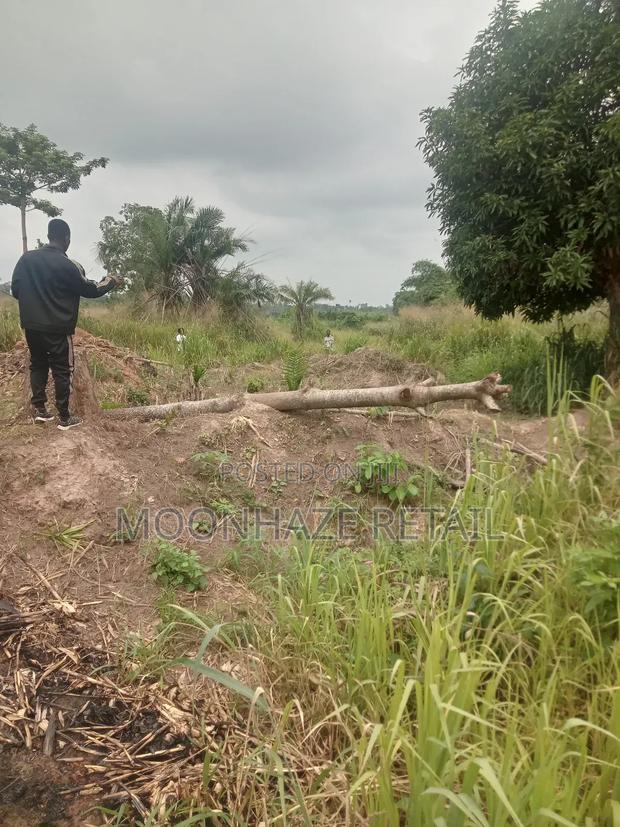 Hot Lands for Sale at Jachie-Pramso, Bosomtwe District! · Photo 5