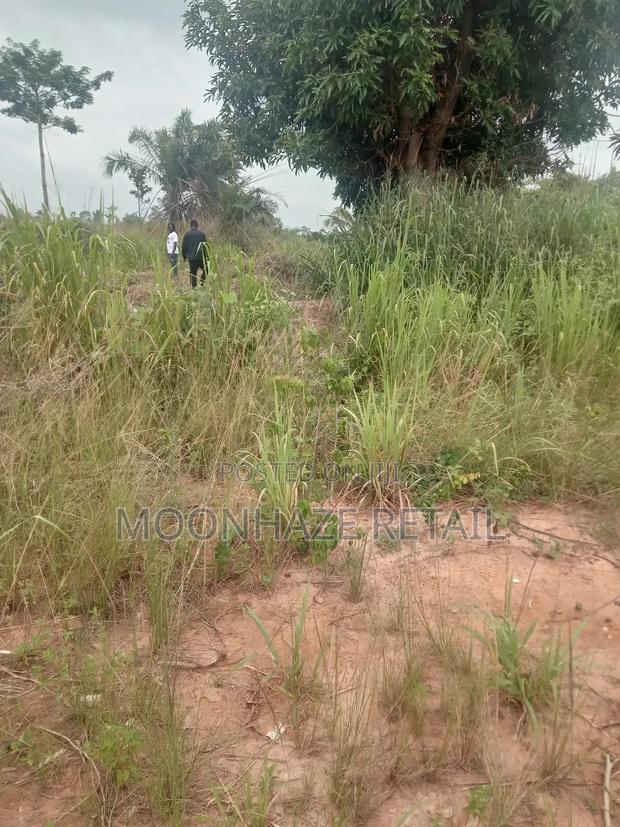 Hot Lands for Sale at Jachie-Pramso, Bosomtwe District! · Photo 8