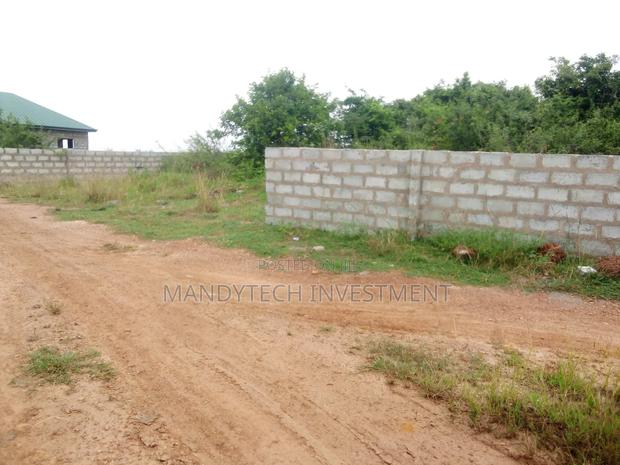 Walled Land (One Plot) - Appolonia · Photo 3
