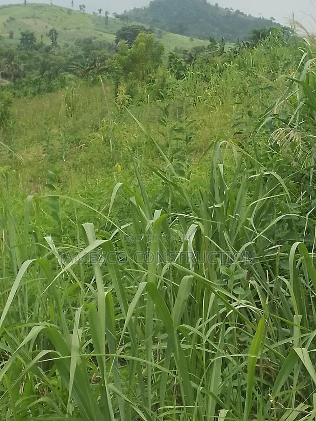 Main Road Side Farmlands for Sale · Photo 3