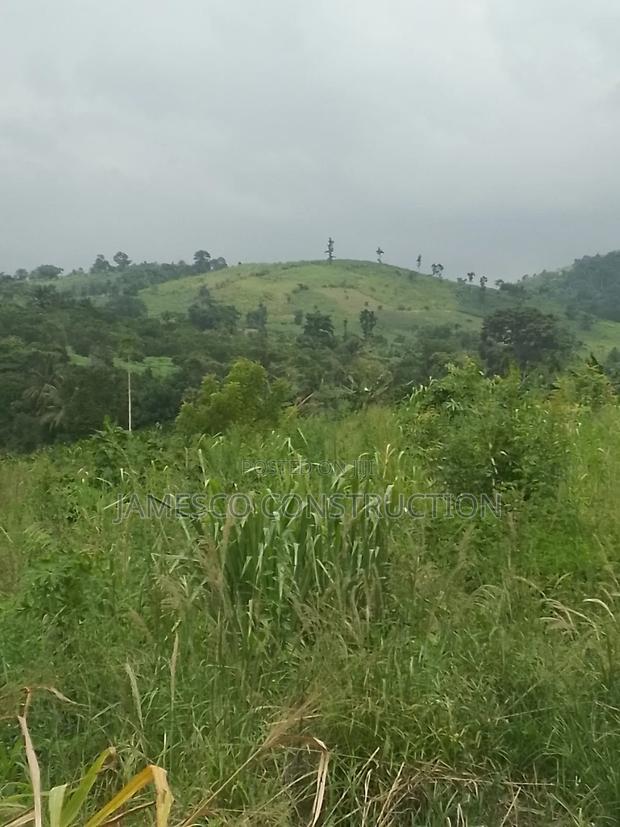 Main Road Side Farmlands for Sale · Photo 4