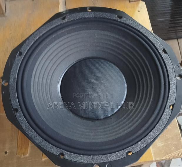 Fane 12 Inches Double Magnet Naked Speaker · Photo 3