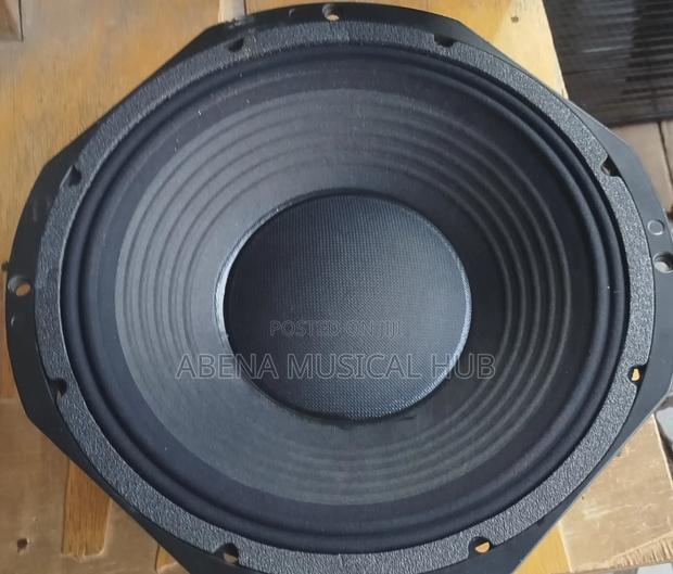 Fane 12 Inches Double Magnet Naked Speaker · Photo 4