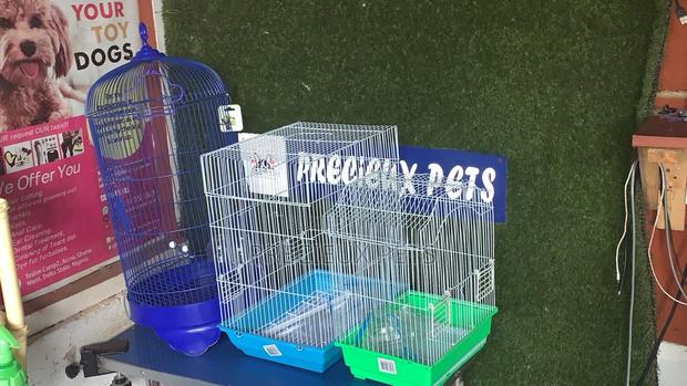 3 Different Size of Parrots Cages · Photo 2