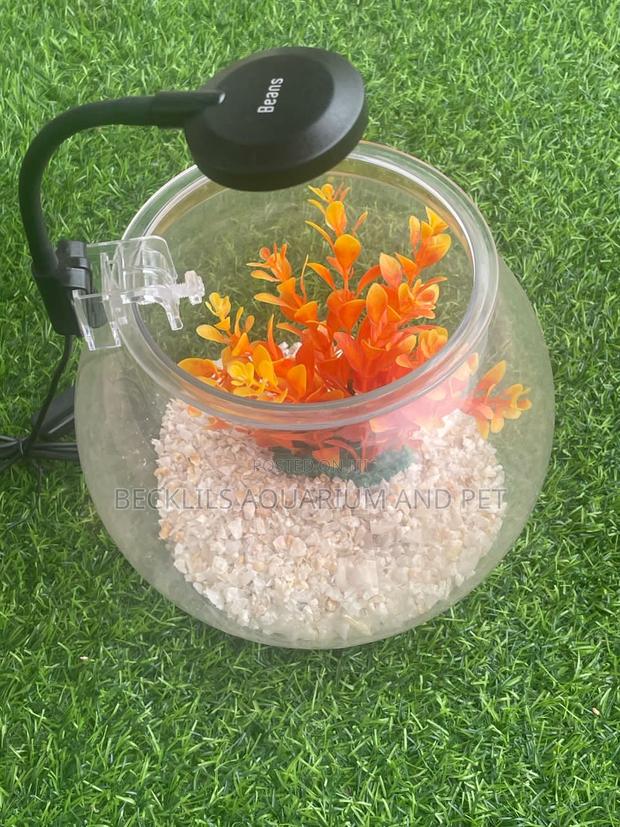 Package Plastic Fishbowl · Photo 1