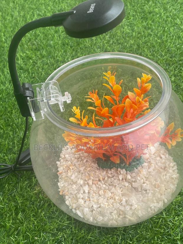 Package Plastic Fishbowl · Photo 3