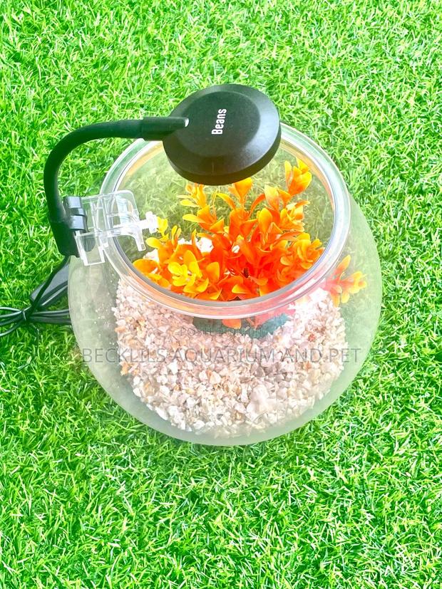 Package Plastic Fishbowl · Photo 2