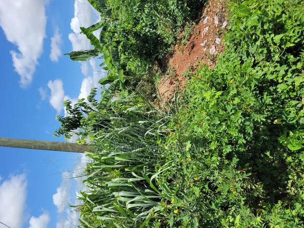 Land for Sale at Santa'si Darko New Site · Photo 1