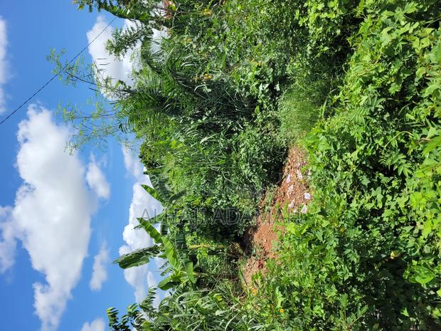 Land for Sale at Santa'si Darko New Site · Photo 2