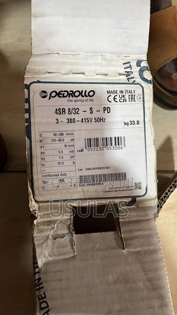 Water Pump Pedrollo Borehole Pump · Photo 3