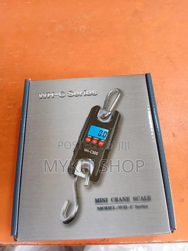 Mini Crane Scales 300kg · Photo 1