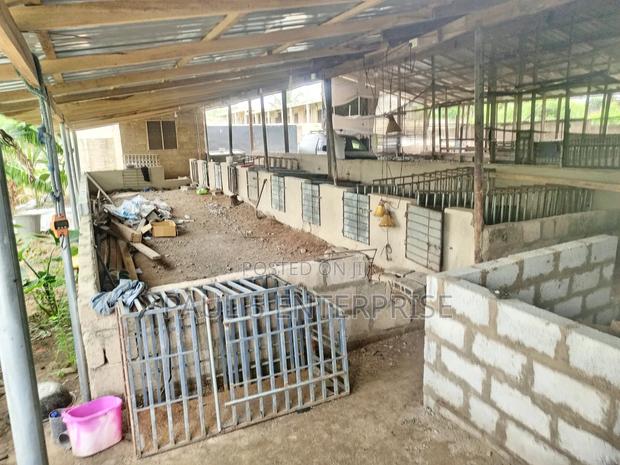 Poultry or Pig Farm for Sale at Kasoa Ofaakor Gada · Photo 2