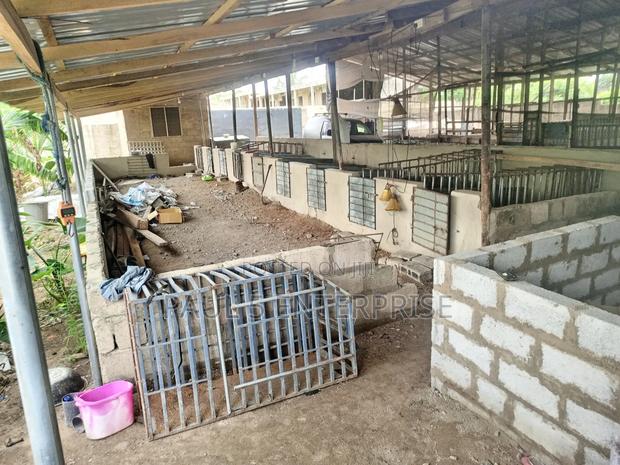 Poultry or Pig Farm for Sale at Kasoa Ofaakor Gada · Photo 3