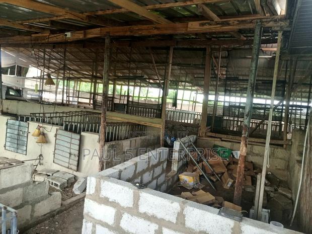 Poultry or Pig Farm for Sale at Kasoa Ofaakor Gada · Photo 4