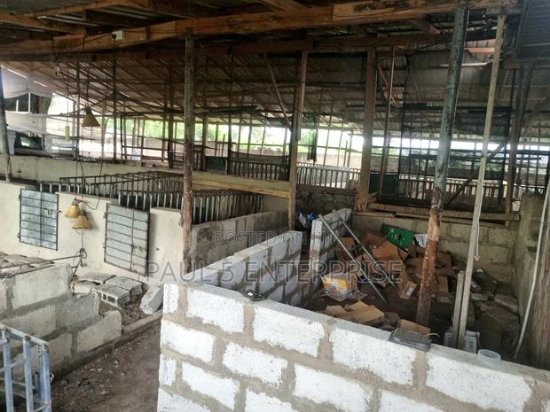 Poultry or Pig Farm for Sale at Kasoa Ofaakor Gada · Photo 6
