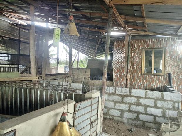 Poultry or Pig Farm for Sale at Kasoa Ofaakor Gada · Photo 7