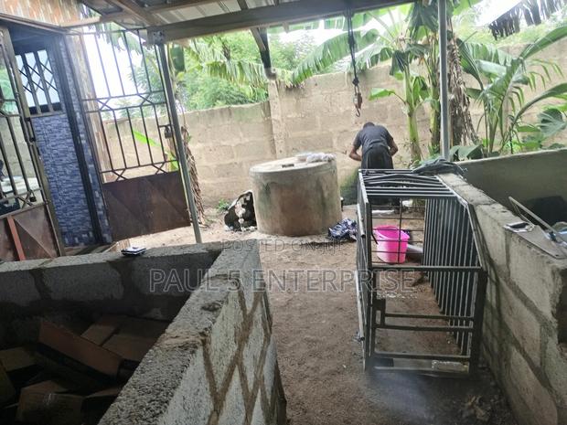 Poultry or Pig Farm for Sale at Kasoa Ofaakor Gada · Photo 8
