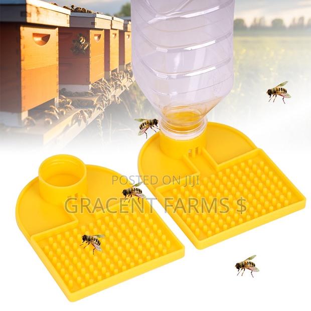 Mineral Bottle Compatible Bee Water Feeder · Photo 2