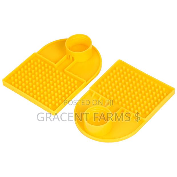 Mineral Bottle Compatible Bee Water Feeder · Photo 3
