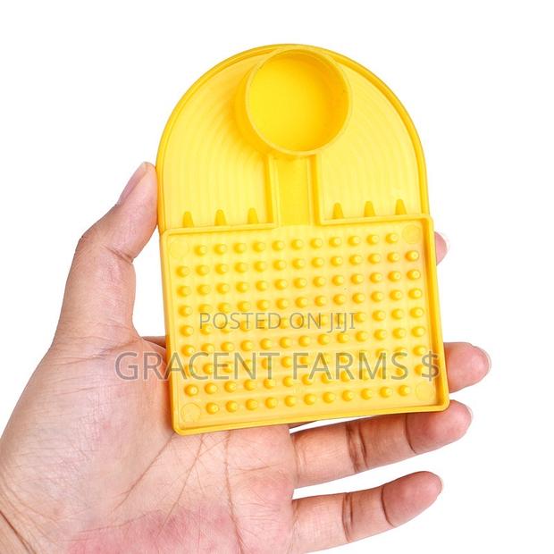Mineral Bottle Compatible Bee Water Feeder · Photo 5