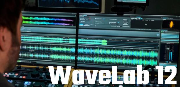 Waveslab Pro 12 for Mac or Windows · Photo 2