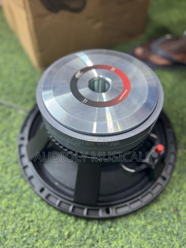 12-Inches Naked Speaker (Jac)Double Magnet · Photo 1