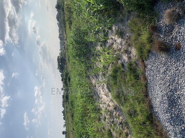Very Developed Area Two Plot of Land for Sale · Photo 3
