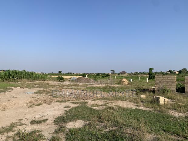 Very Developed Area Two Plot of Land for Sale · Photo 5