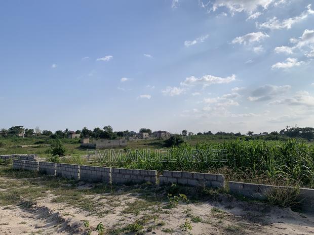 Very Developed Area Two Plot of Land for Sale · Photo 6