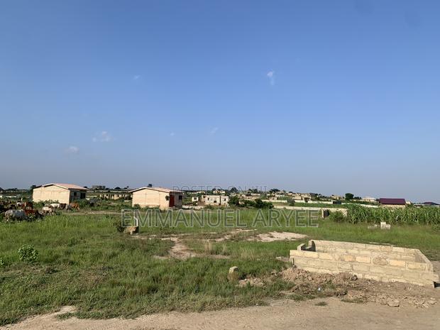 Very Developed Area Two Plot of Land for Sale · Photo 7