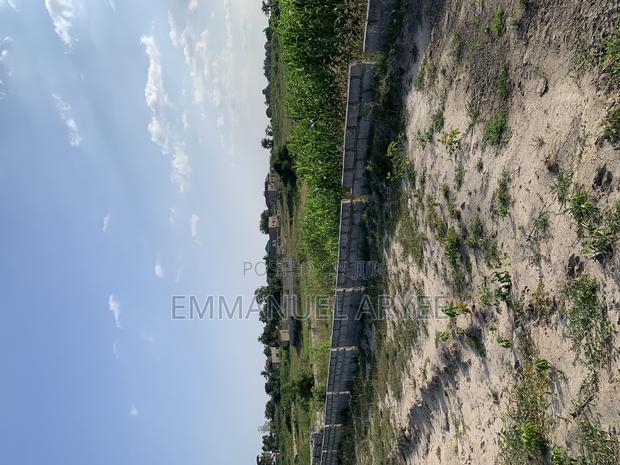 Very Developed Area Two Plot of Land for Sale · Photo 8