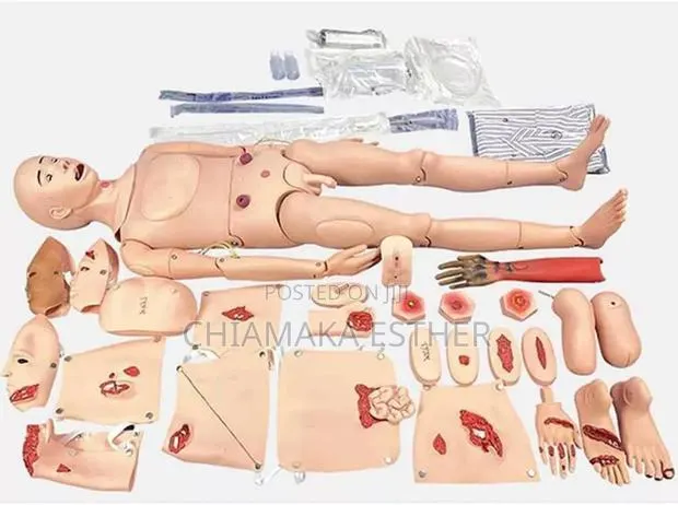 Medical Model Full Human Training Doll · Photo 1
