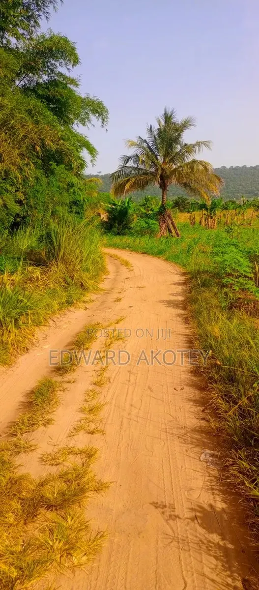 Farmland at Abutia for Sale · Photo 1