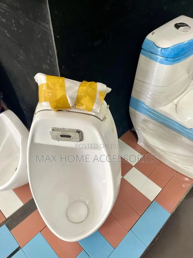 Automatic Urinal Pot · Photo 1