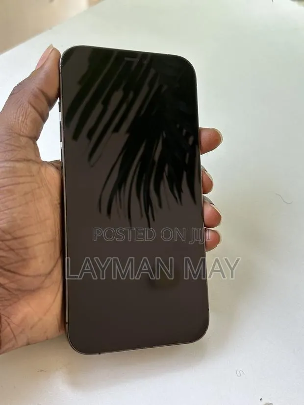 Apple iPhone 12 Pro Max 256 GB Gray · Photo 1