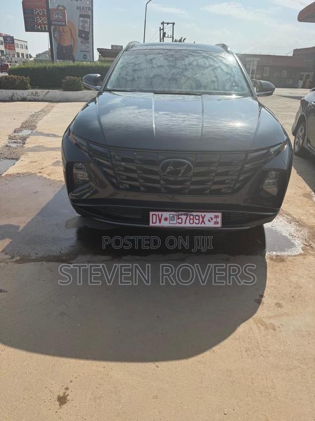 Hyundai Tucson Limited 2023 Gray · Photo 7