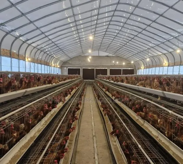 Poultry Coop With Battery Cages · Photo 1