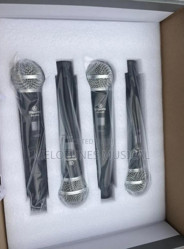Bigsong Bg-4400 4-in-1 Professional Wireless Microphone · Photo 3