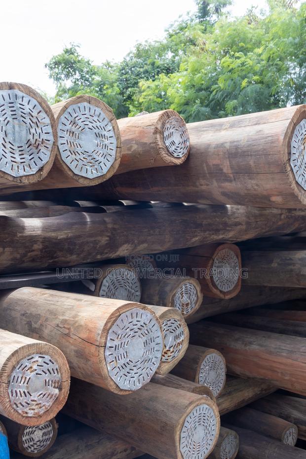 Treated Light Poles 8 Meters · Photo 1