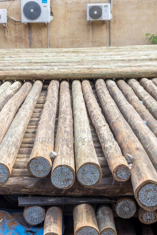 Treated Light Poles 8 Meters · Photo 3