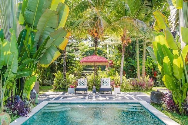 Gardening and Landscaping Service Available · Photo 3