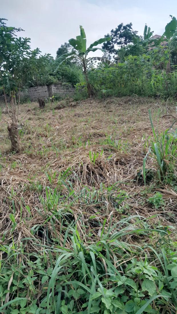 Registered Plots(Flexible Payment 4 Sale at Samsam Near Mayera Pokuase · Photo 1
