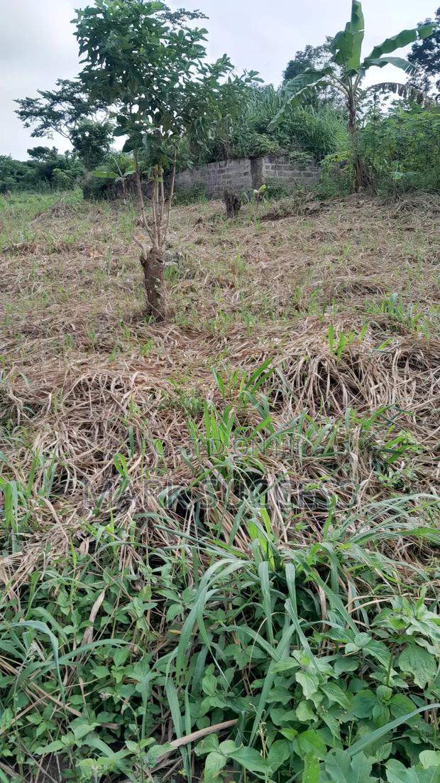 Registered Plots(Flexible Payment 4 Sale at Samsam Near Mayera Pokuase · Photo 3