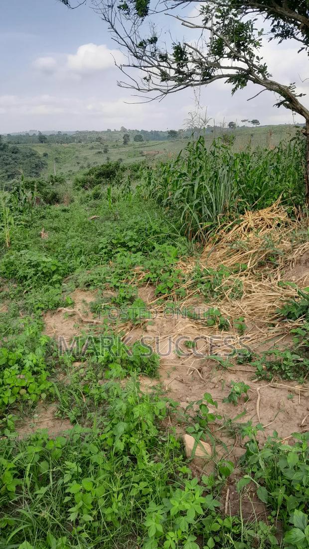 Registered Plots(Flexible Payment 4 Sale at Samsam Near Mayera Pokuase · Photo 4