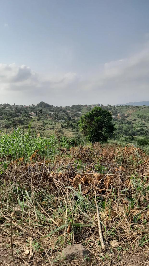 Registered Plots(Flexible Payment 4 Sale at Samsam Near Mayera Pokuase · Photo 5